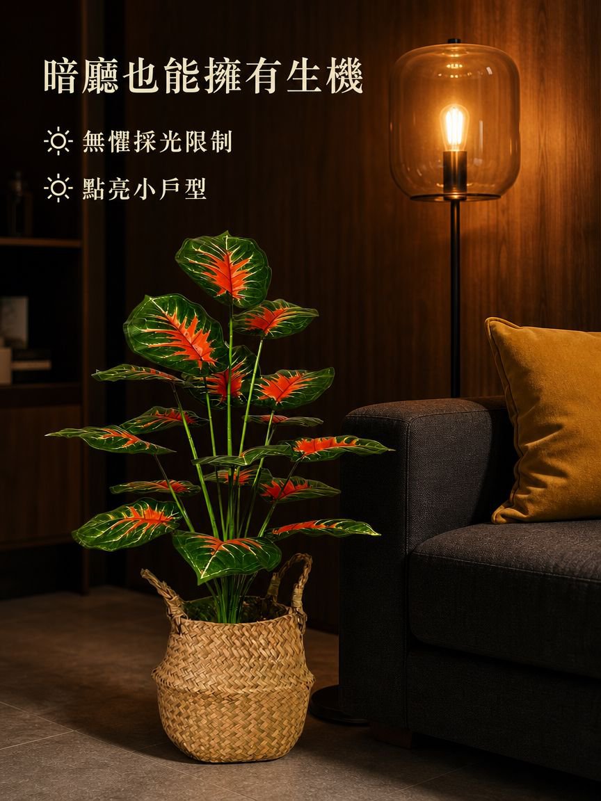 大型地面觀葉植物