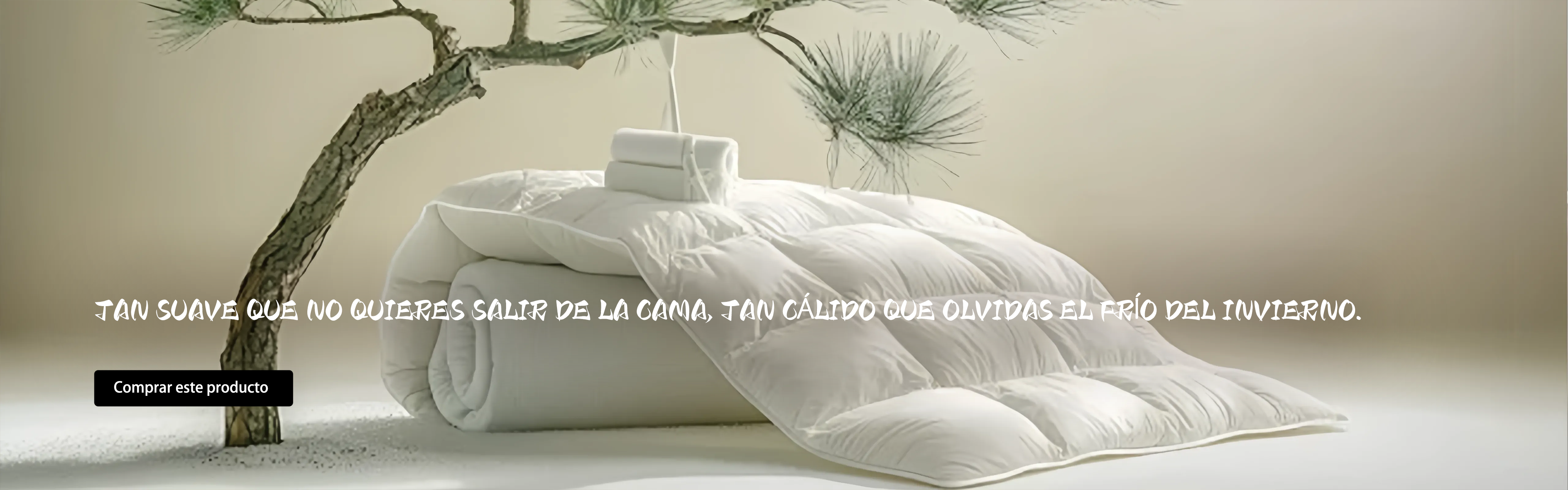 Calidad Europea a Precios Sorprendentes
