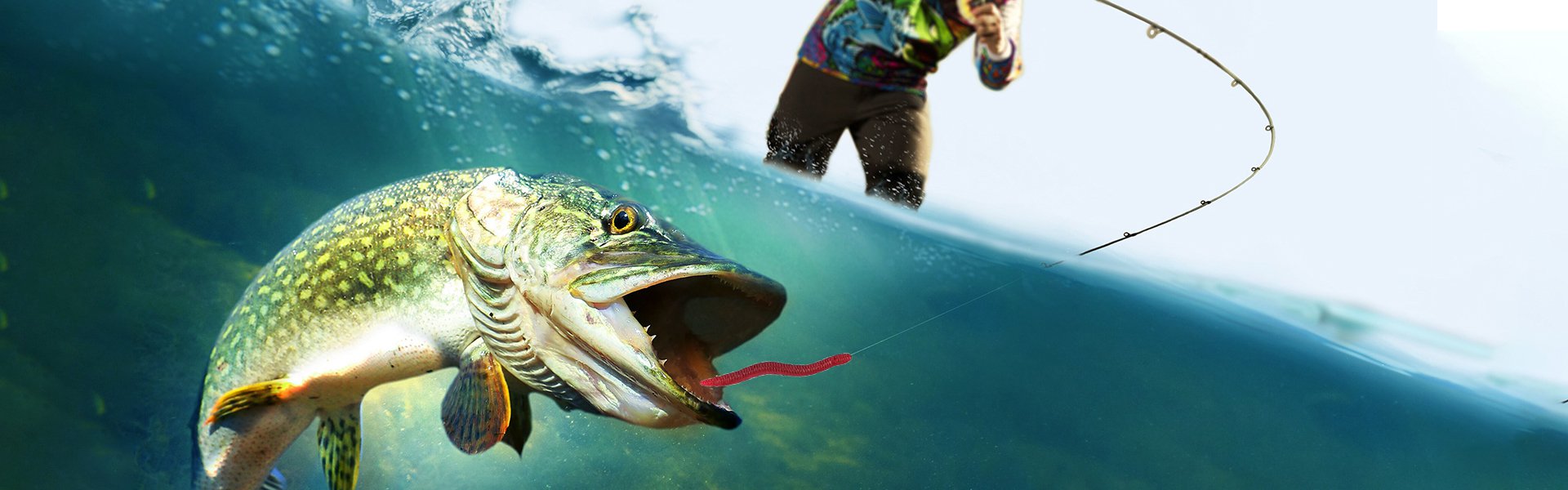 ศูนย์การค้าออนไลน์