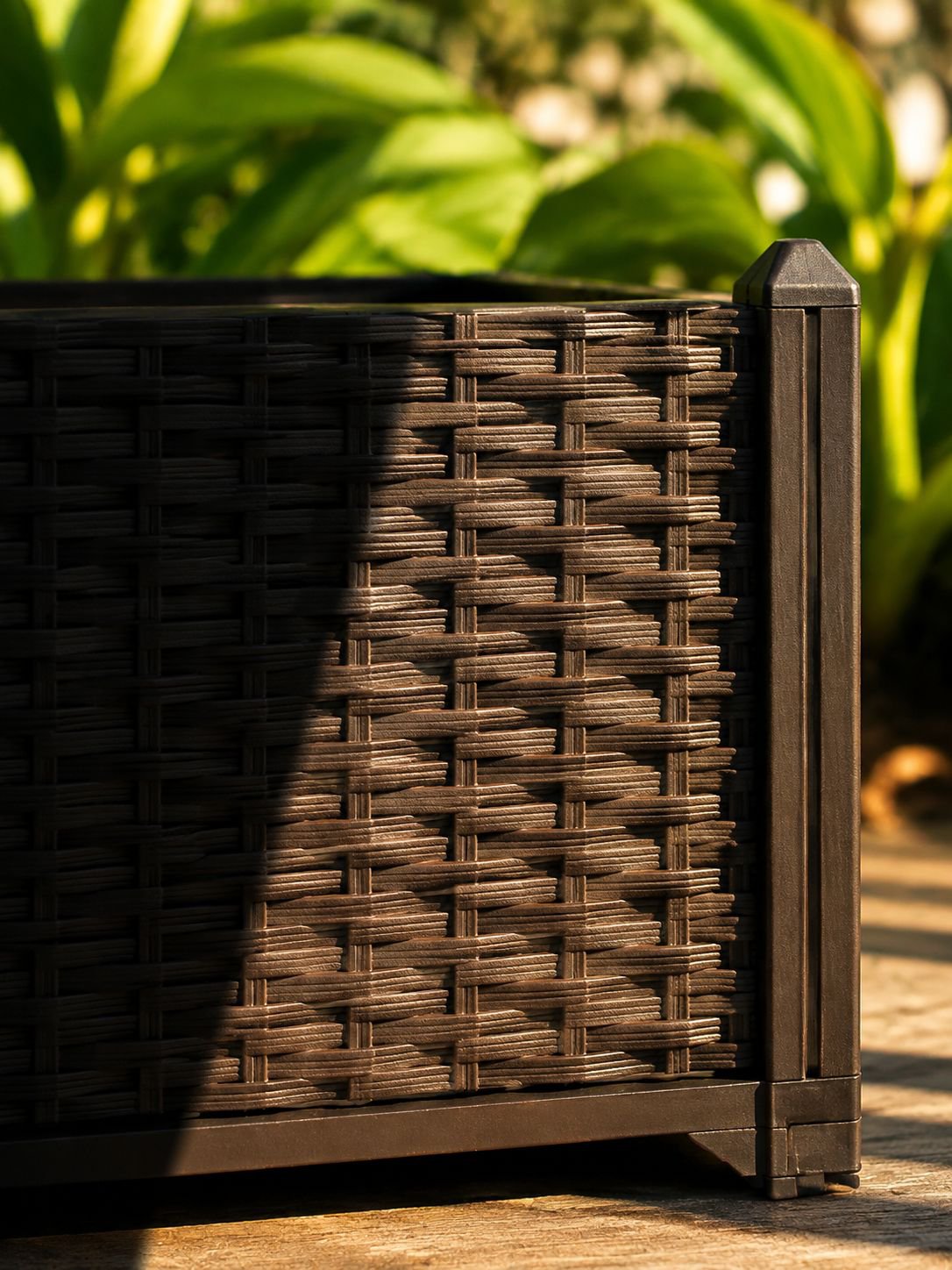 Caja especial para plantar tomates y pepinos