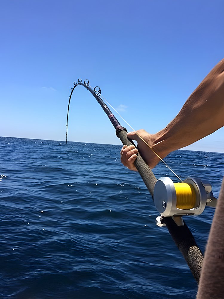 ศูนย์การค้าออนไลน์