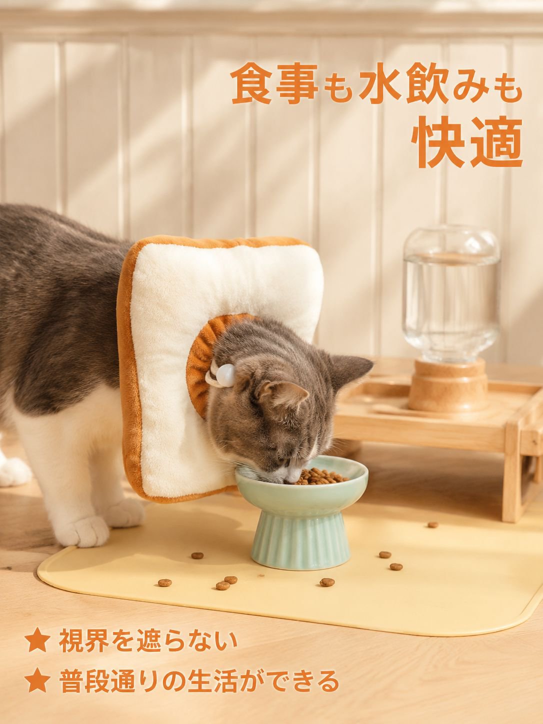 猫犬専用術後なめ防止首輪