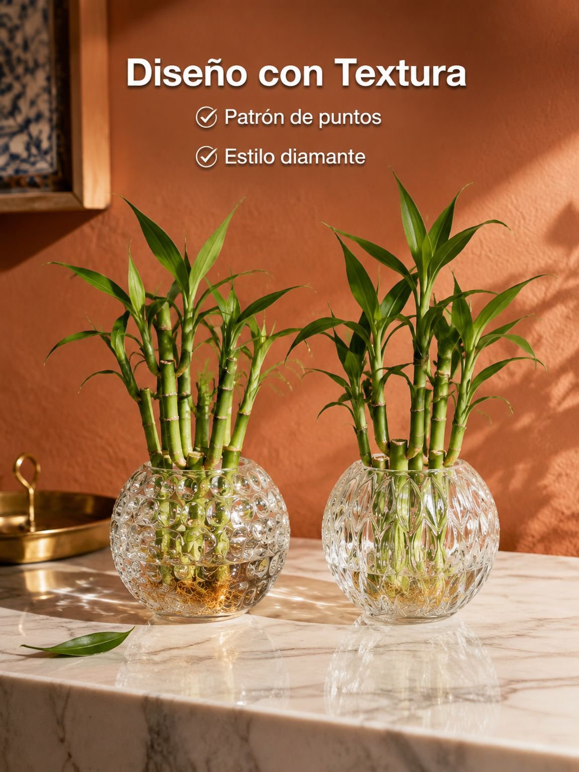 Botellas de agua para el cultivo de plantas de interior.