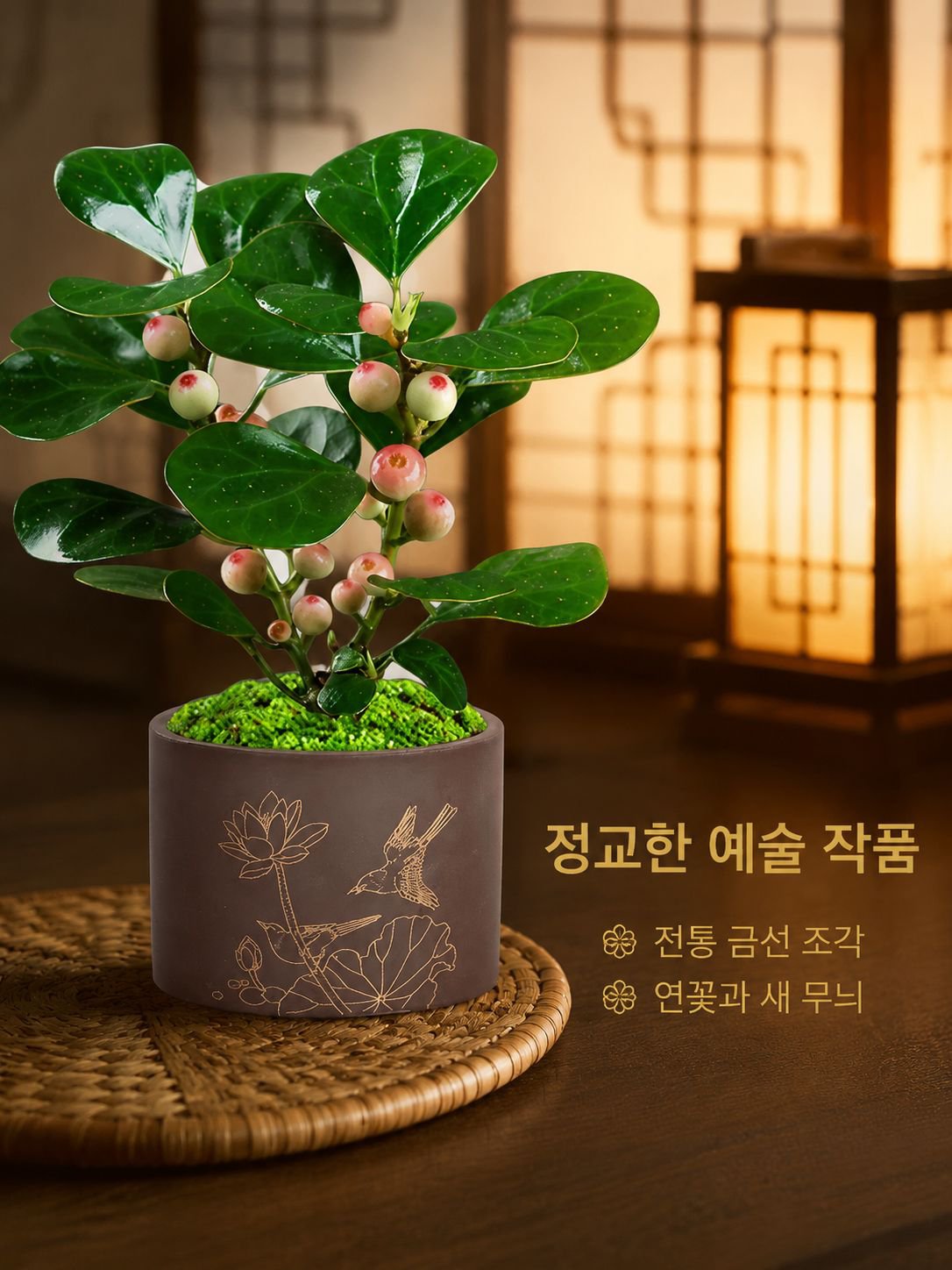 보리수 분재