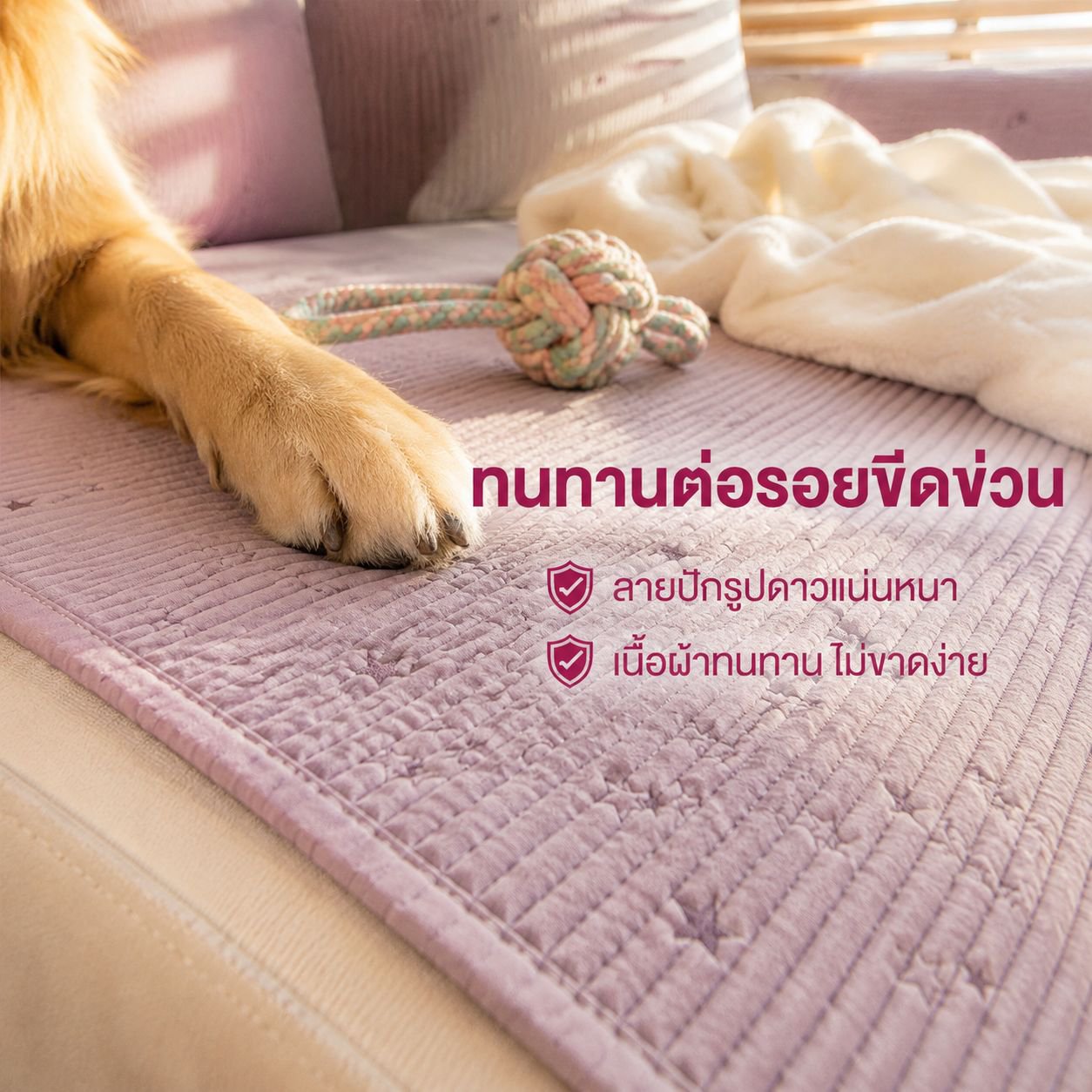 เบาะรองโซฟาสีพื้น สไตล์นอร์ดิก สำหรับทุกฤดู