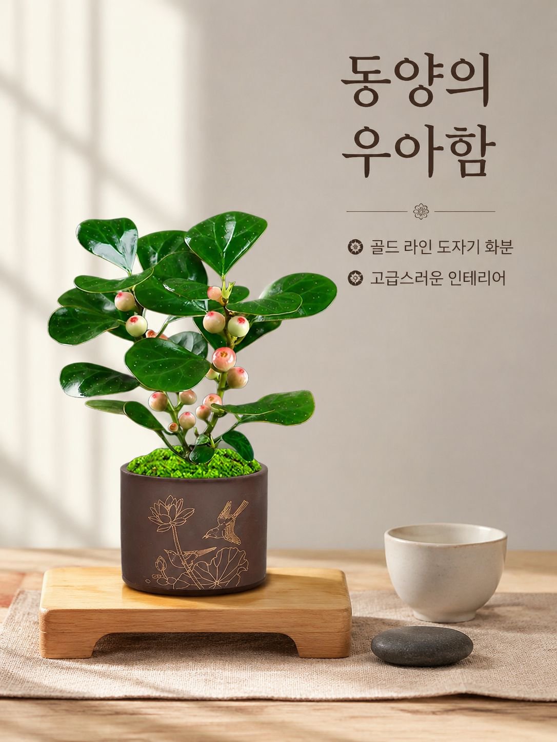 보리수 분재