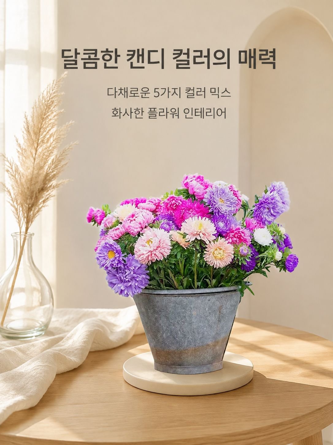 다채로운 캔디 화분 꽃