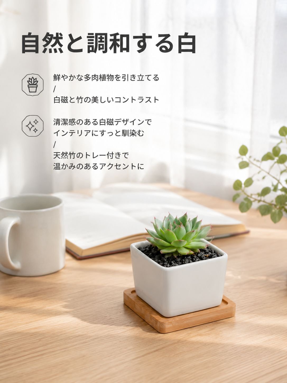 グレーズセラミック多肉植物鉢