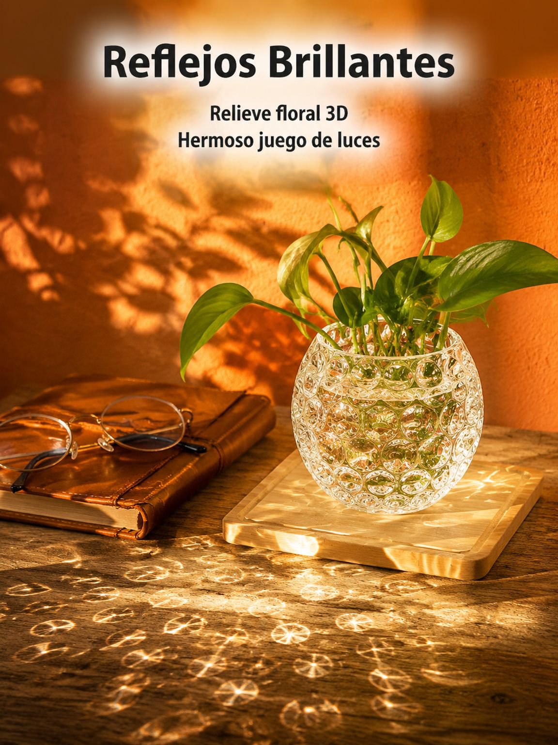 Regadera para plantas de interior