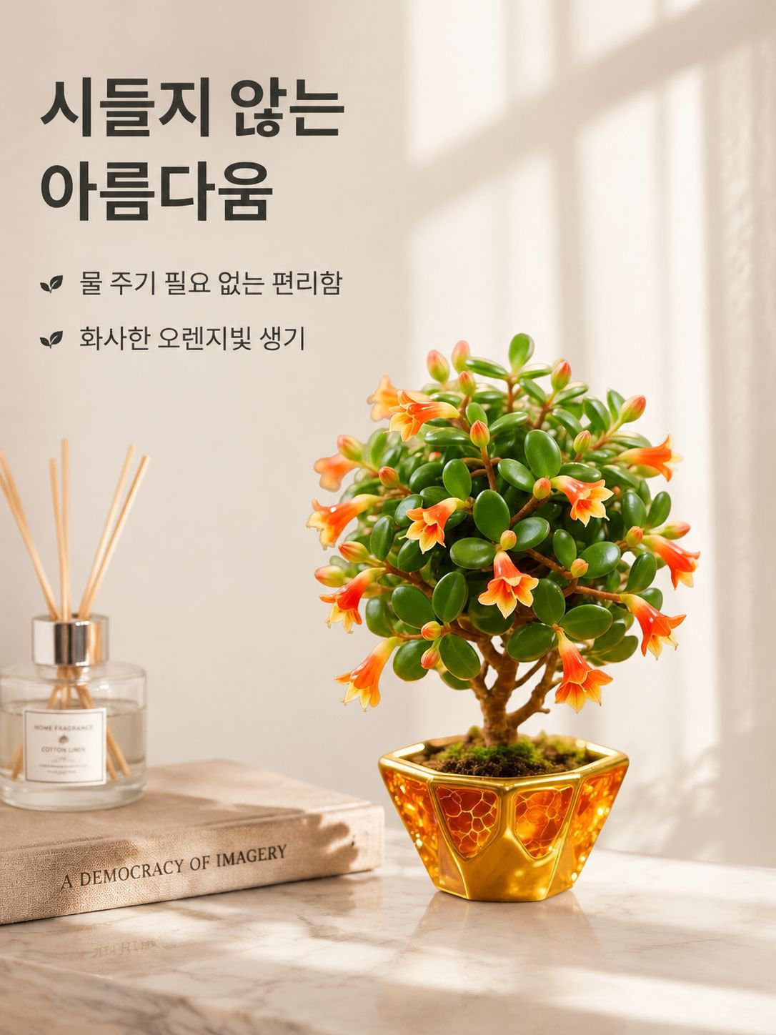 세인트 존스 워트 분재