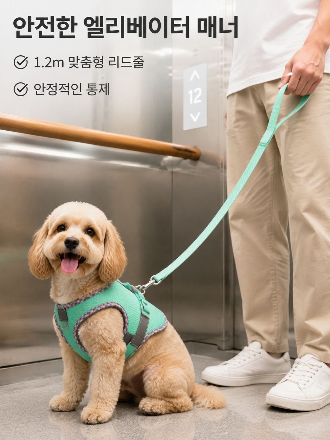 맞춤형 반려동물 조끼형 하네스
