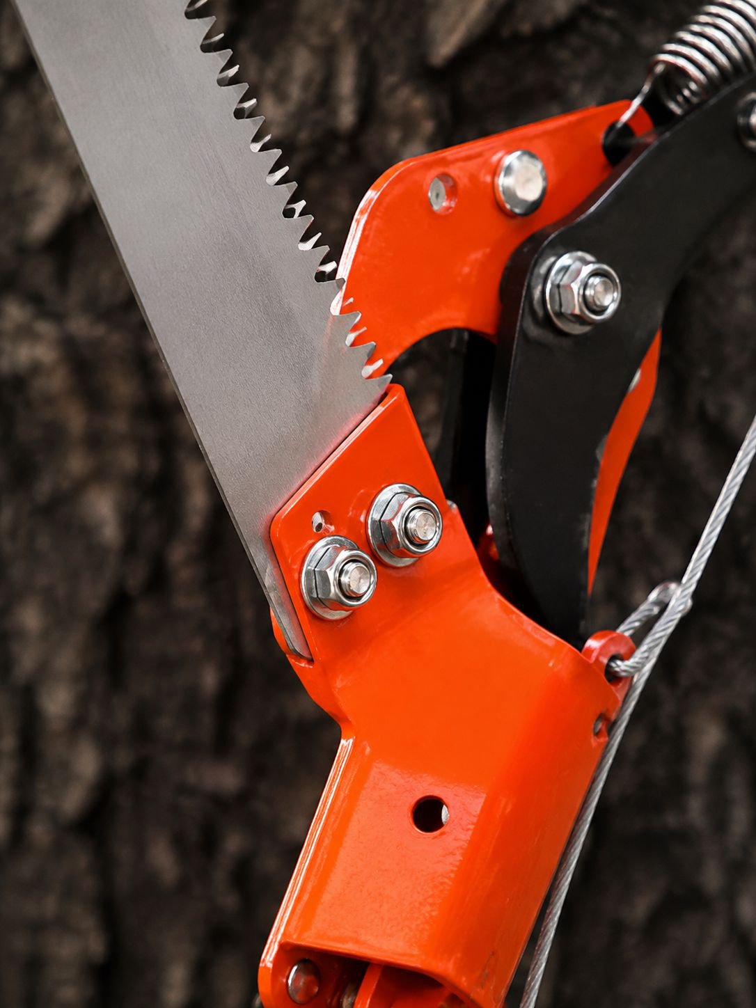 Extendable garden pruner trimming fruit tree branches