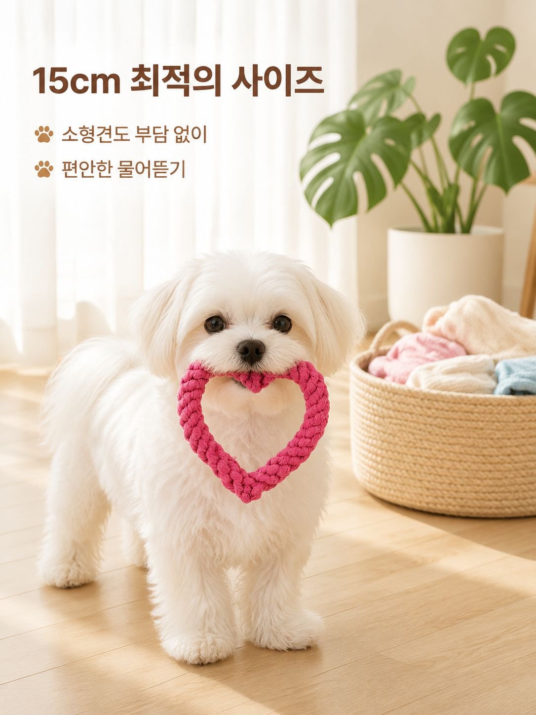 애완견 목줄 장난감