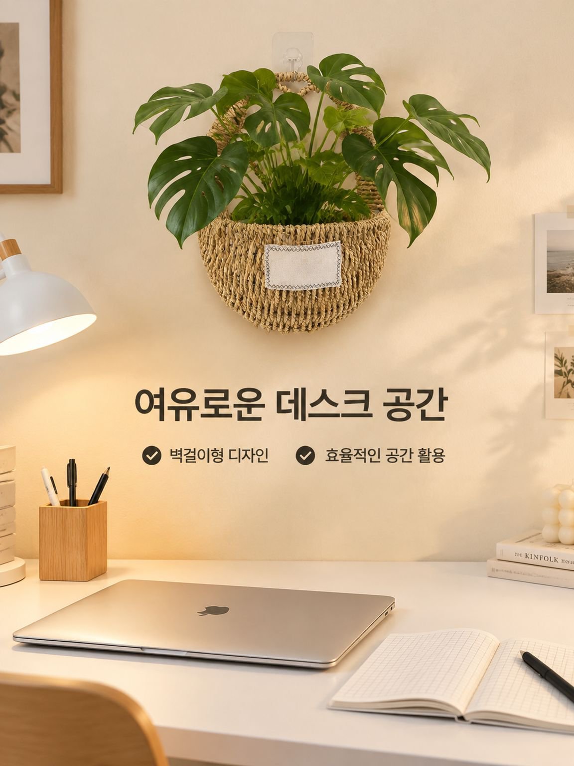 포토스 및 관엽식물용 벽걸이형 화분