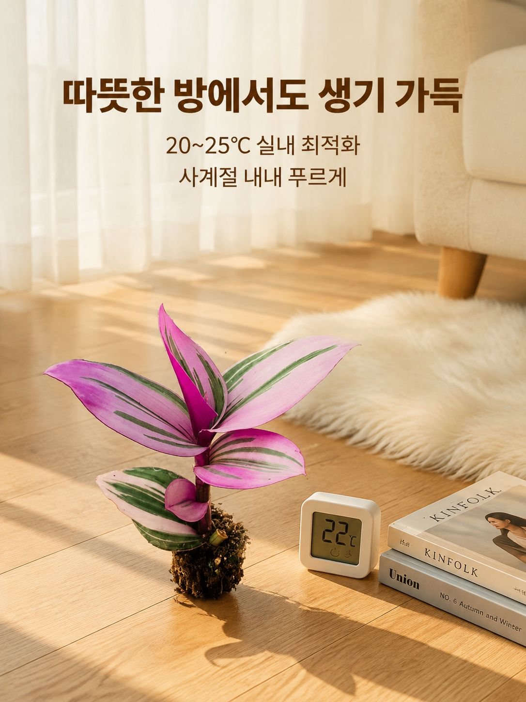 사계절 녹색 식물 및 화분 식물
