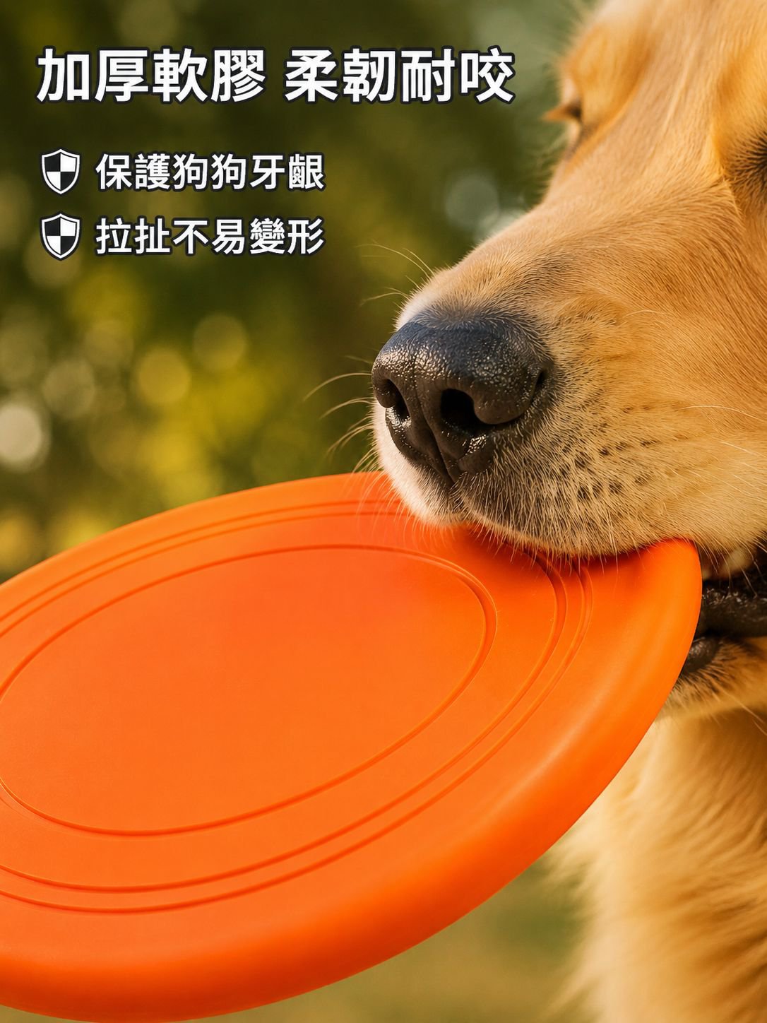 寵物戶外訓練飛盤