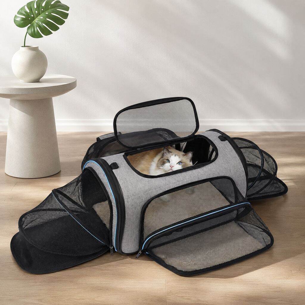 Tendances des accessoires de voyage pour animaux