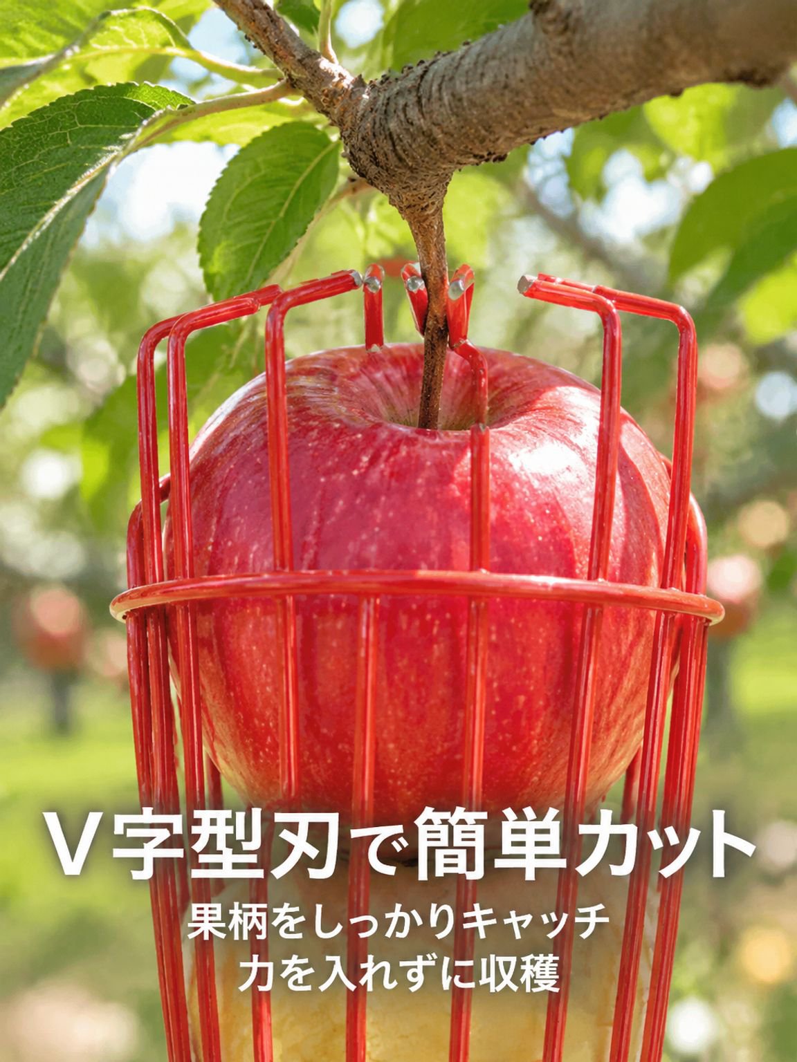 摘果器