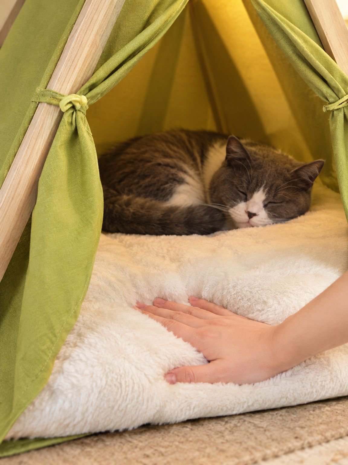 Cama para gato desmontable y lavable, tipo tienda