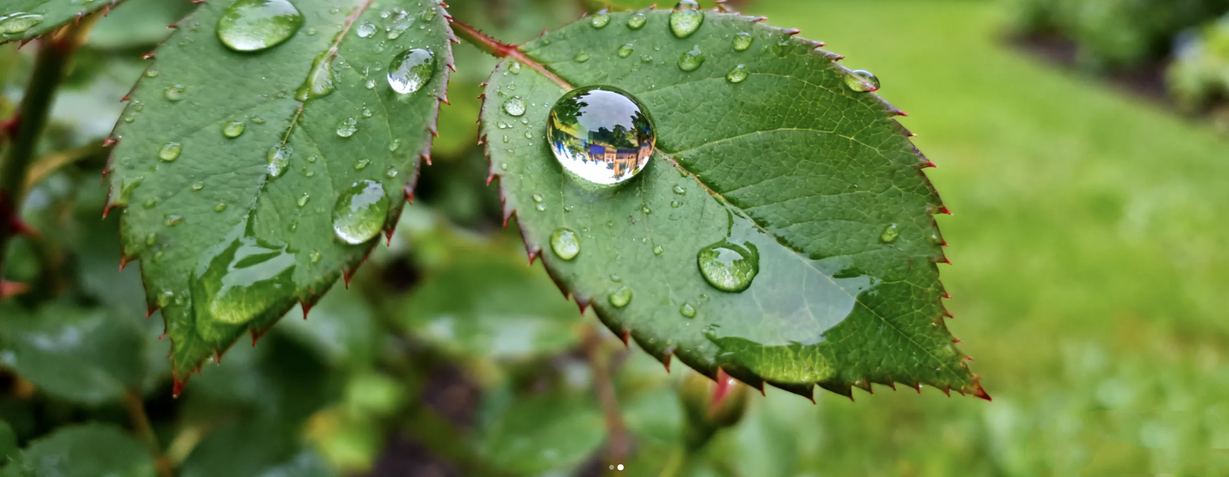 ศูนย์การค้าออนไลน์