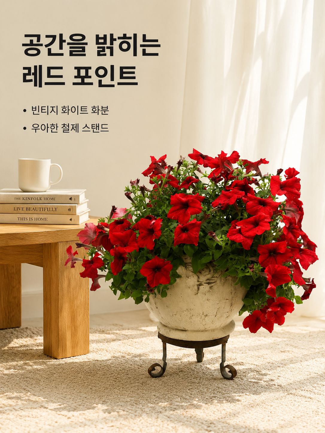 겹꽃 페튜니아