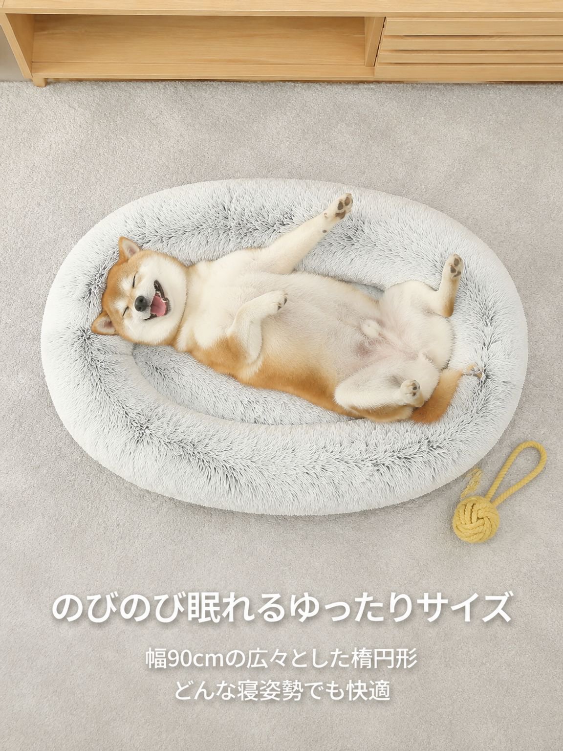 ペットとの触れ合いは、心を癒し、安らぎを与えてくれる。