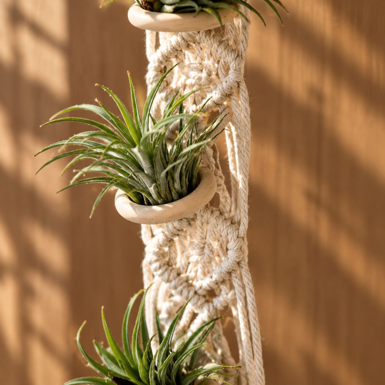 Tapiz de soporte de flores de planta de piña de aire Simple, cesta de flores colgante tejida a mano,