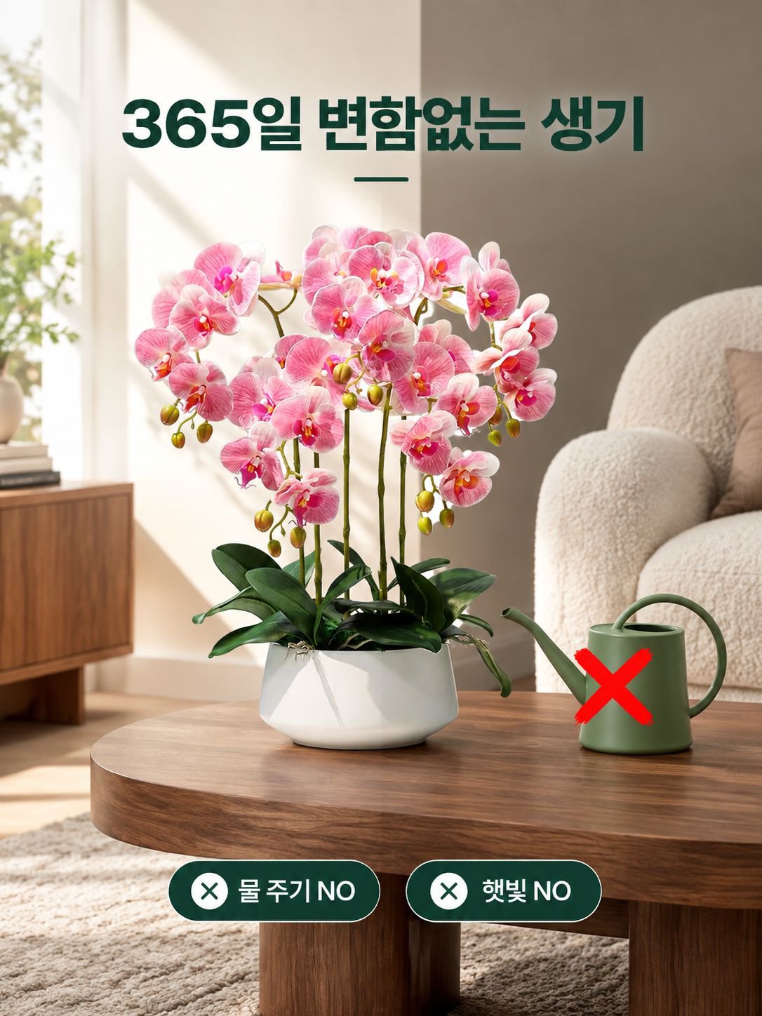 팔레노프시스 난초 실내 식물