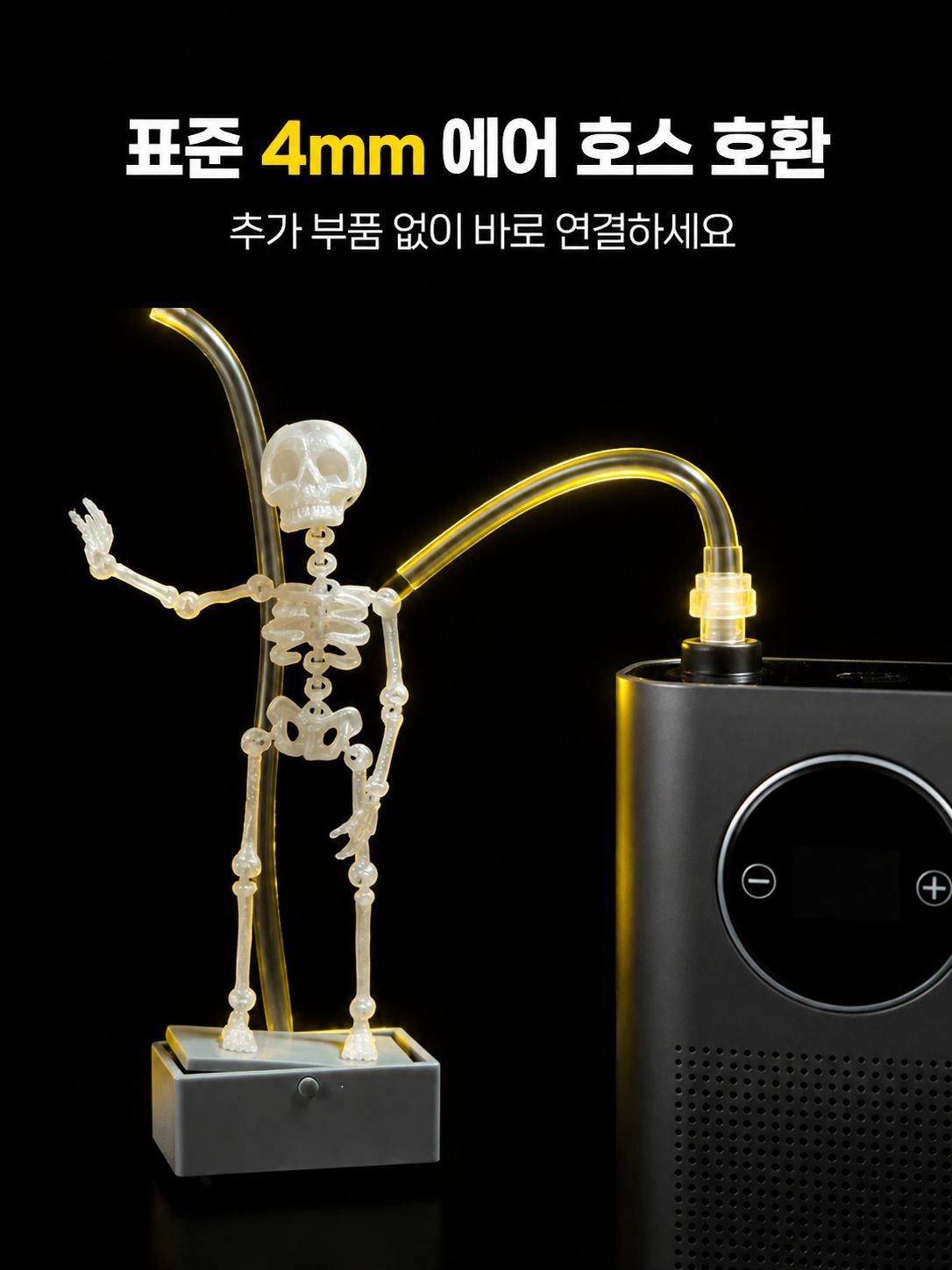 아쿠아리움 분위기를 살리는 해골 장식