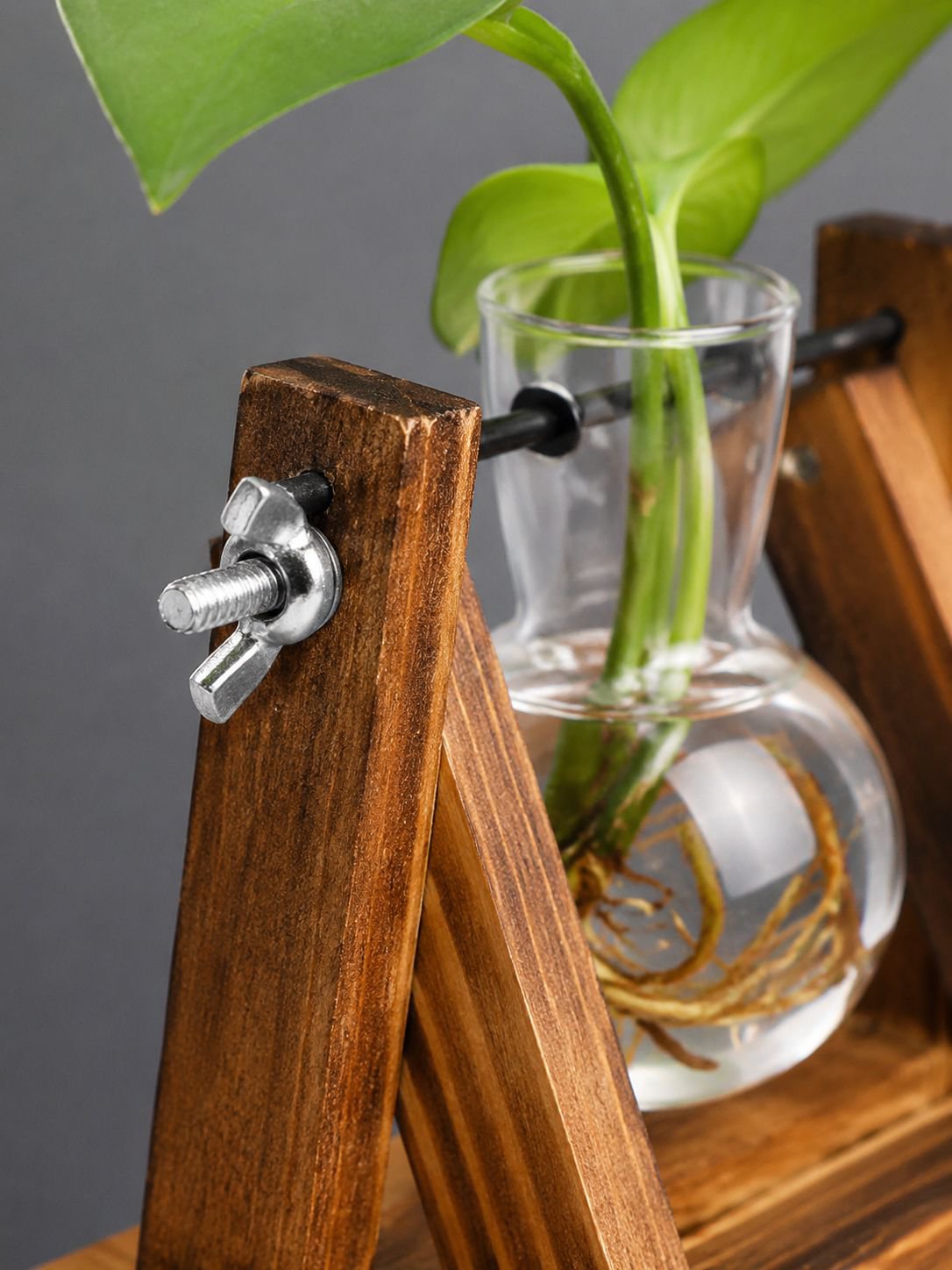 Decoración minimalista con jarrón de vidrio y plantas