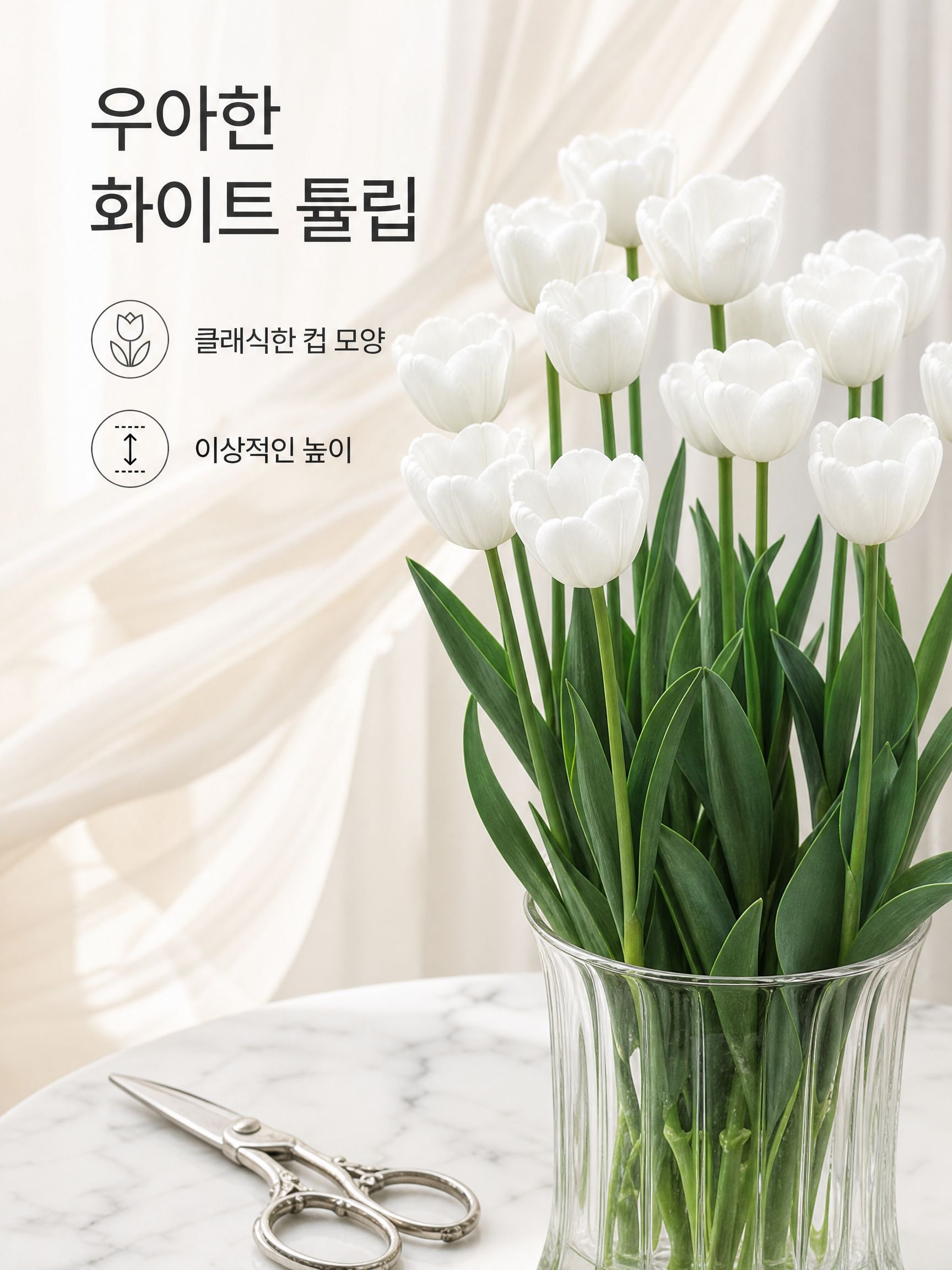 튤립 구근 꽃