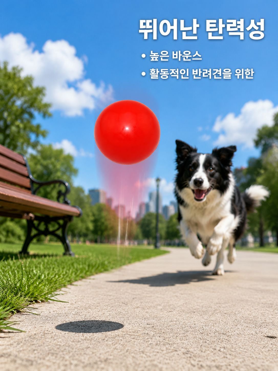 애완동물이 장난감 개공을 씹다