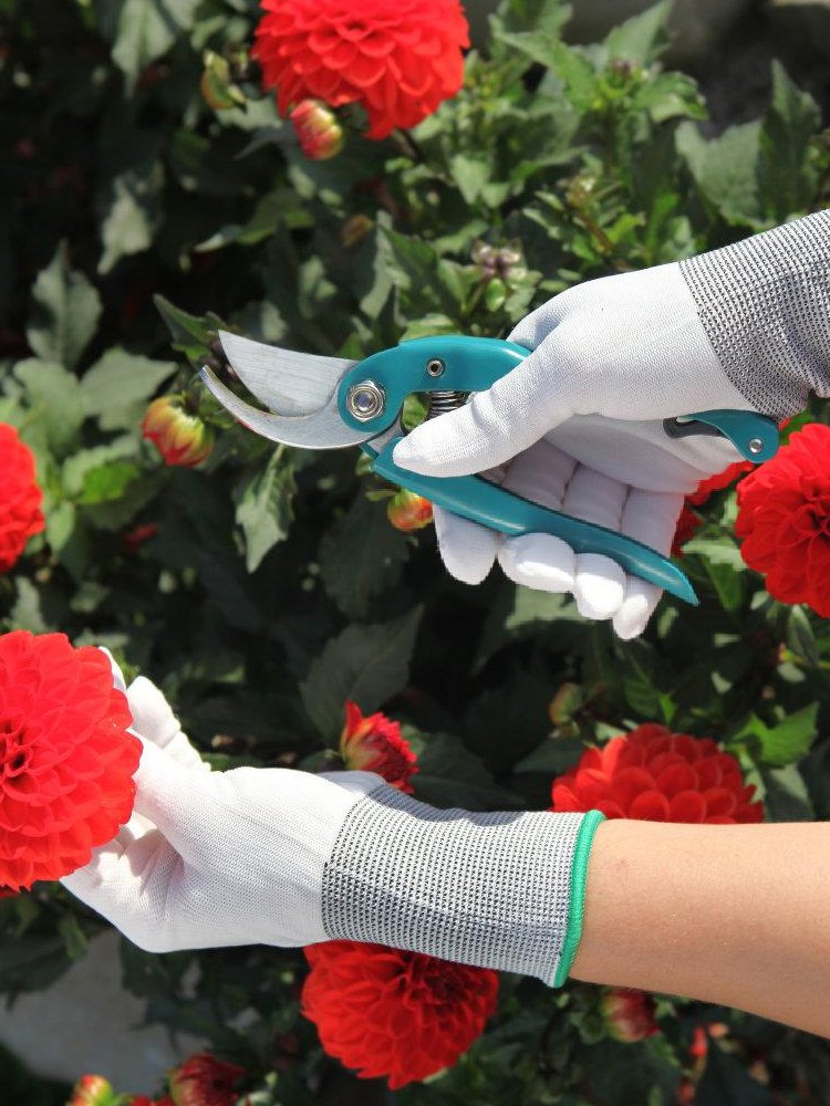 Online shopping MALL