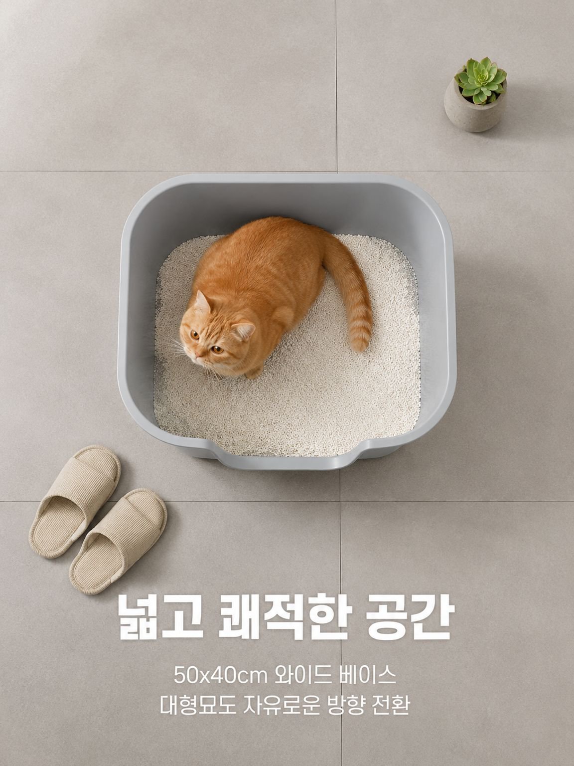 오픈형 고양이 화장실 대용량 플라스틱 고양이 화장실