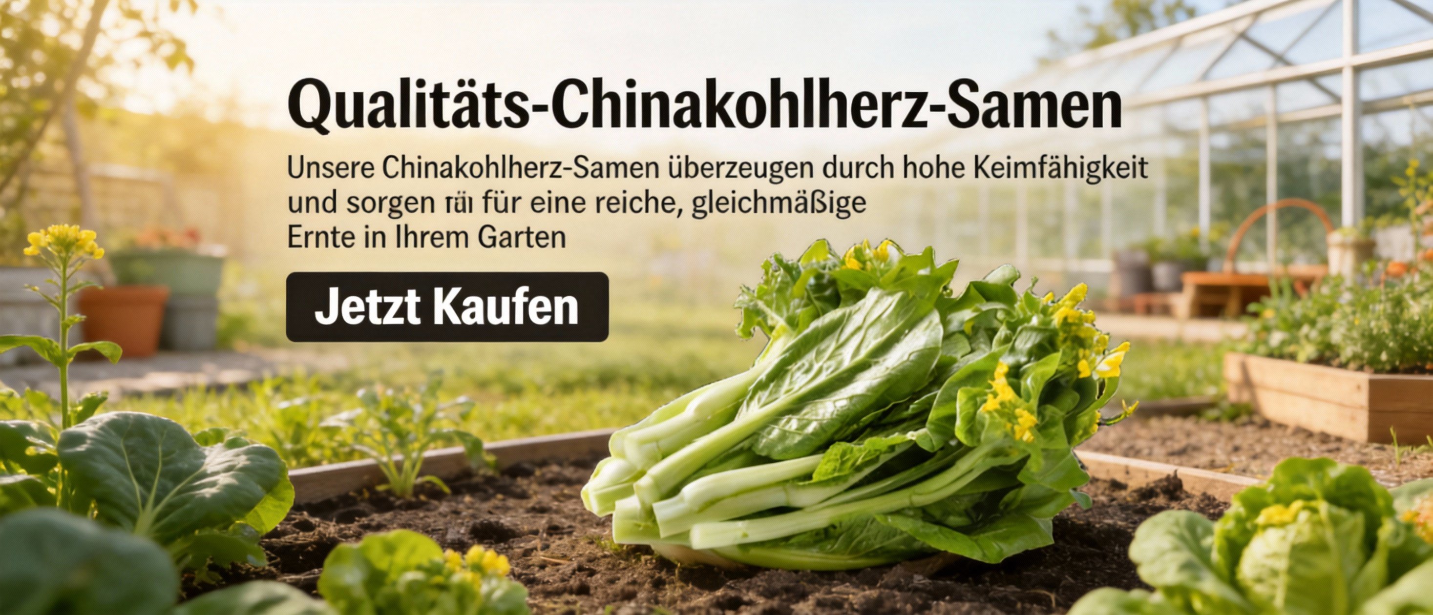 Online-Shop