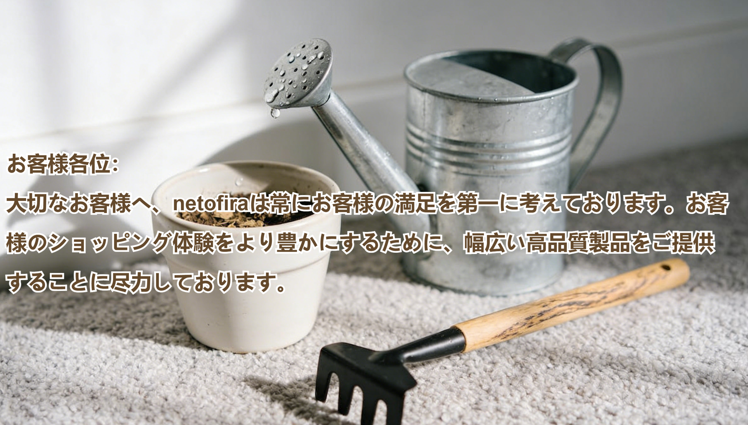 netofira.com