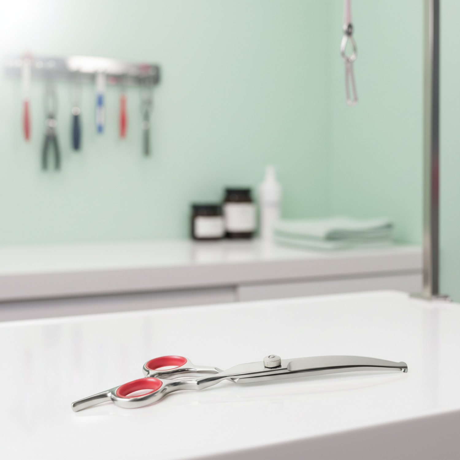 Sichere Haustier-Schere mit runder Spitze – ideal für das Fellstyling Ihres Lieblings