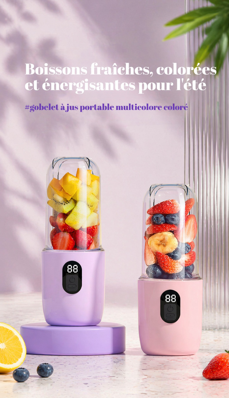 Mixeur portable USB multifonction pour jus frais