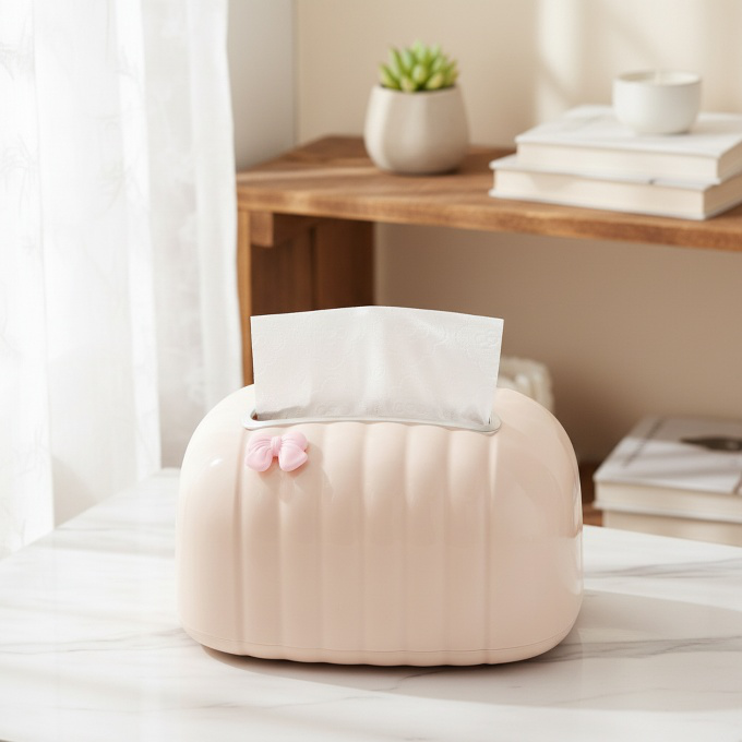 Living room organizer with cream colored tissue box