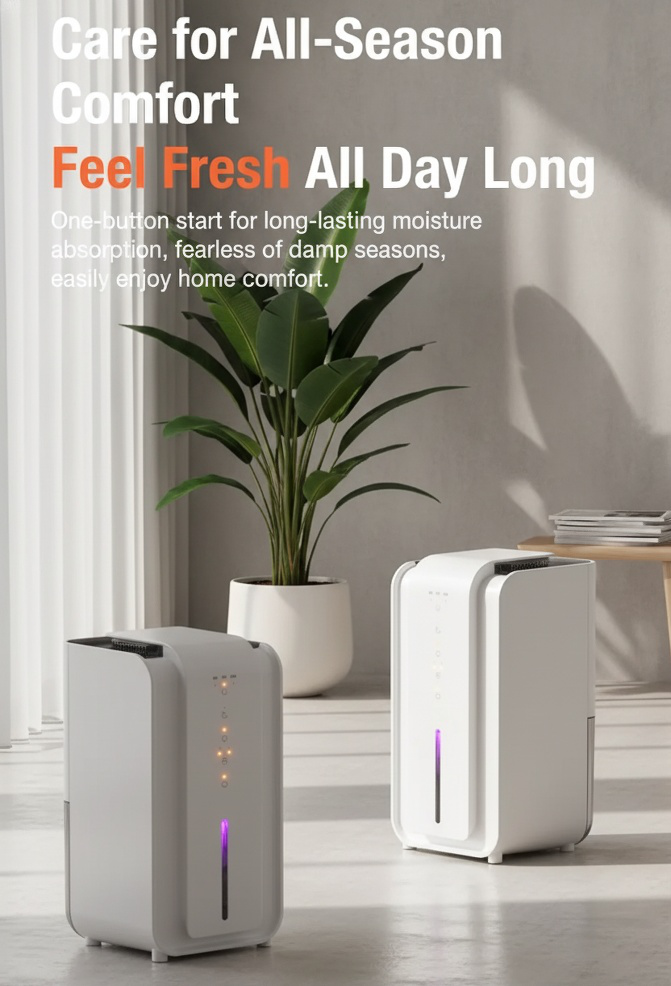 Easy-to-use mini dehumidifier