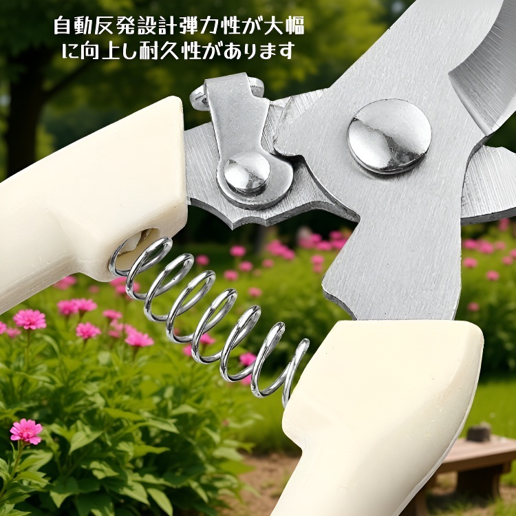 庭木用剪定鋏 ガーデンフルーツ摘み取りツールセット