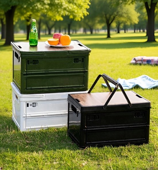 Portable outdoor organizer for camping and picnics
