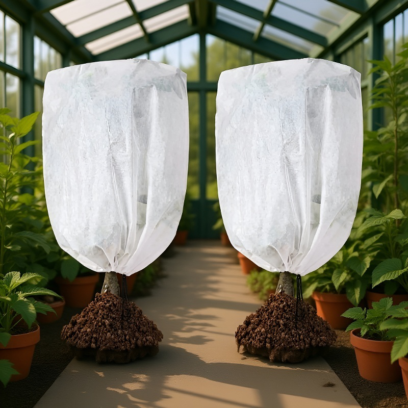 植物園の保護用低木、防虫・防寒袋