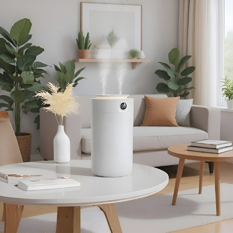 Usb 듀얼 스프레이 가습기 가정용 사무실 가습 스프레이 무음 대용량 가습기 침실 수분 신기