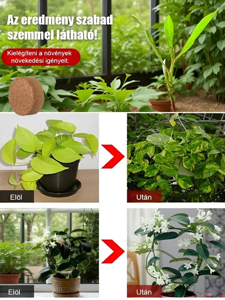 【Tíz évig nem igényel műtrágyázást】Kertészeti kókuszrost tápanyagföld