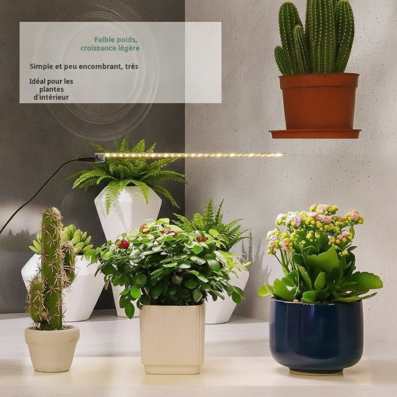 Panneau lumineux LED quantique pour plantes d'intérieur, spectre complet, éclairage de remplissage p