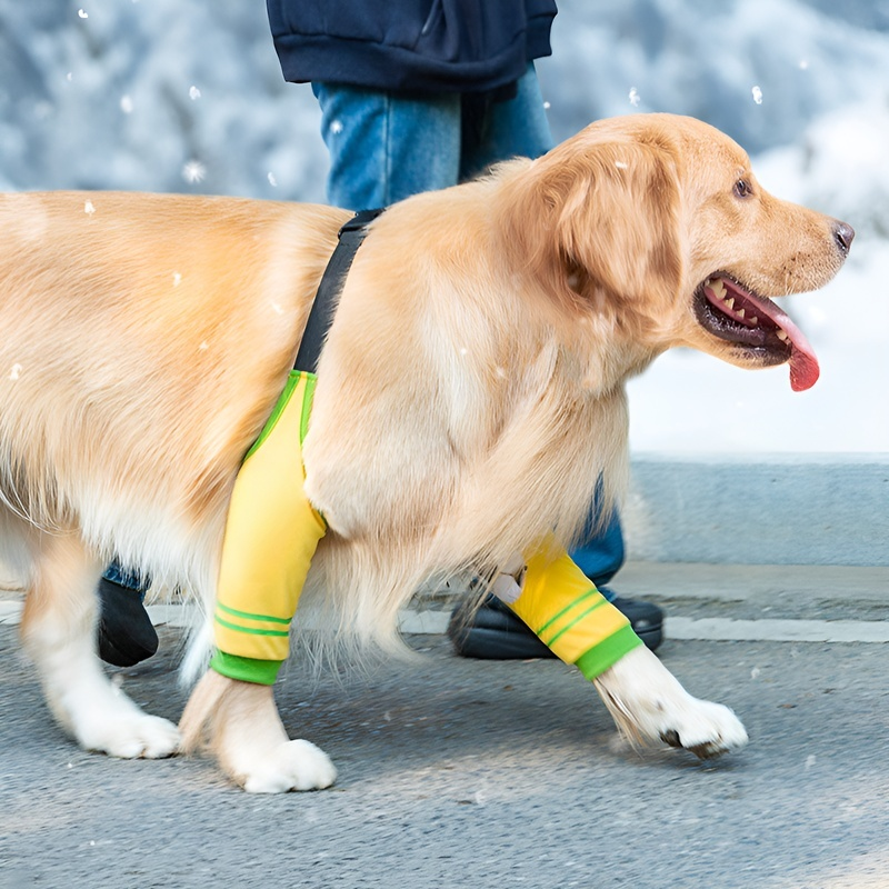 대형견 무릎 보호 다리 보호대