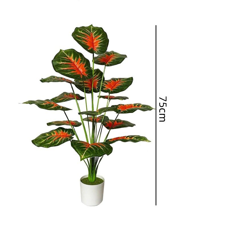 Green plants, potted plants, palm trees, flooring plants