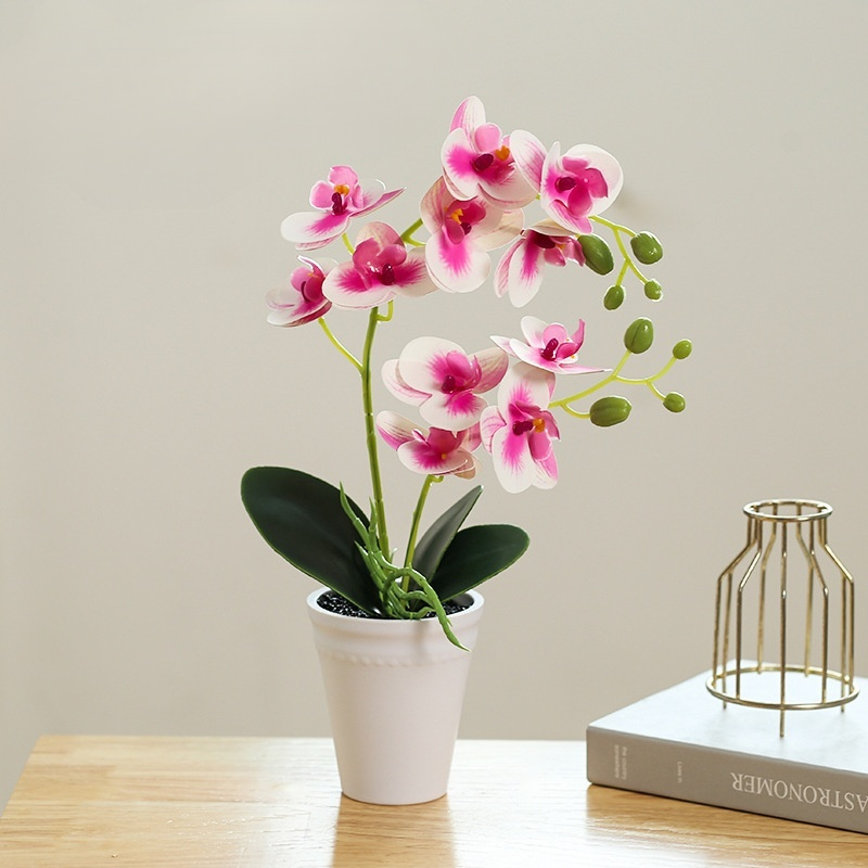 鉢植え植物の装飾品