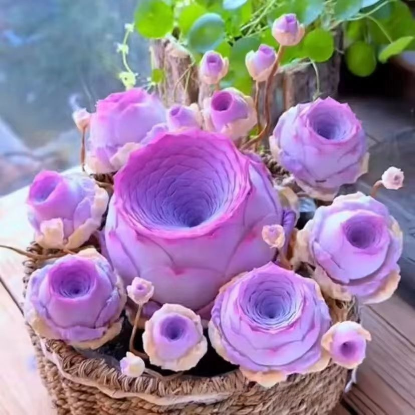 マウンテンローズ多肉植物